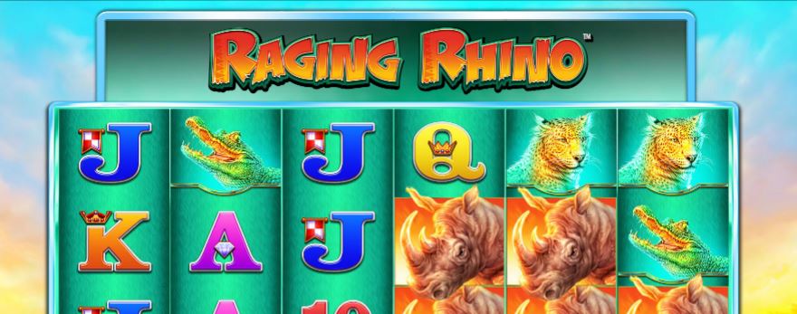 raging rhino