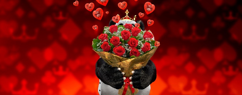 Royal Panda Valentijn bonus